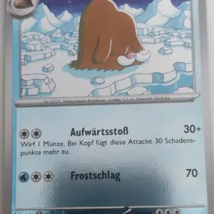 Keifel Holo Pokemon Karte