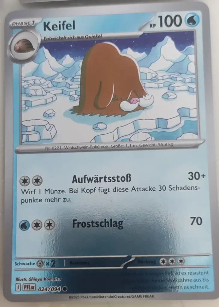 Keifel 024/094 Holo Rare Pokemon Karte Deutsch