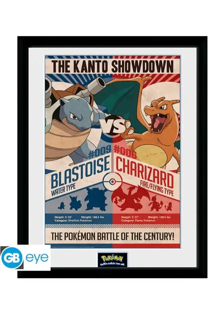 POKEMON Collector Print 30X40 Rot vs Blau